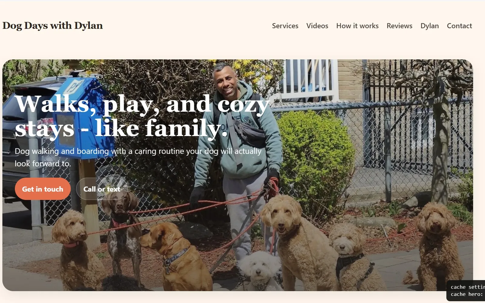 Screenshot of the Dog Days with Dylan website